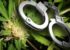 Five arrested for possession of Crack and Cannabis