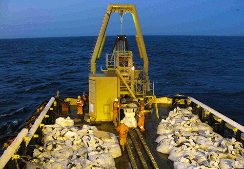 phosphate 1