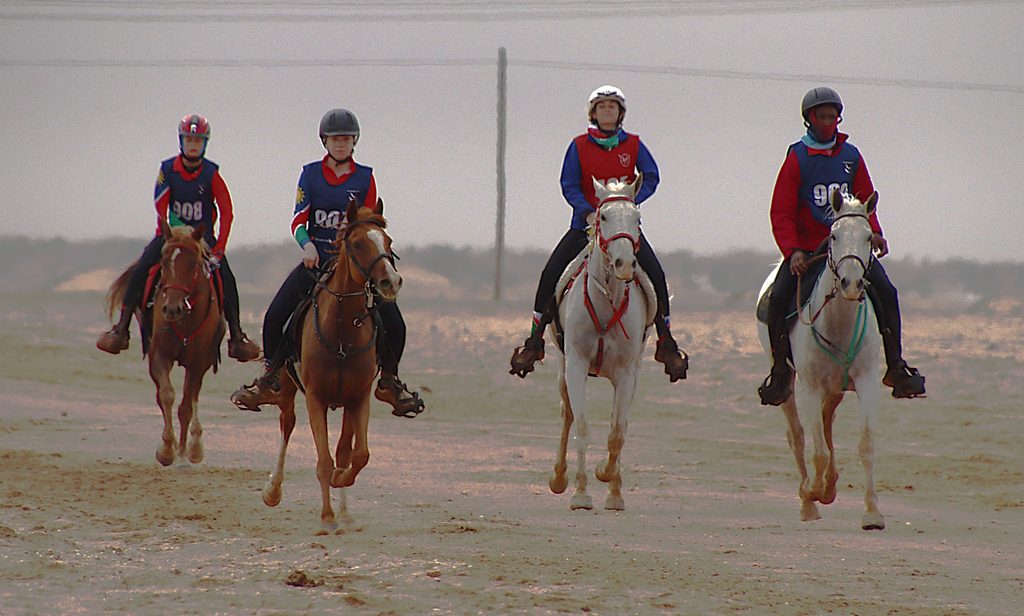 Desert Torture Namibian Riders Conquer Desert Challenge 1