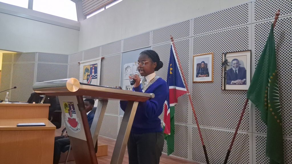 New Junior Town Council Urged to Turn Ideas into Action