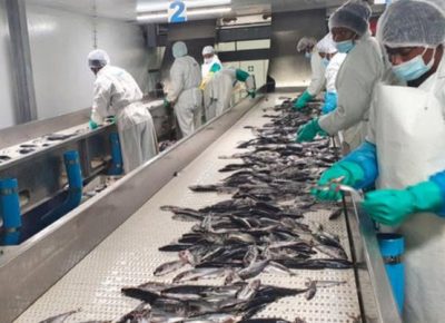 GOVT TARGETS N$14BN FISHING INDUSTRY OVERHAUL