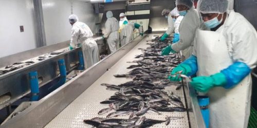 GOVT TARGETS N$14BN FISHING INDUSTRY OVERHAUL