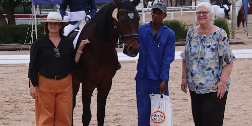 Aria Shines at Dressage Championships