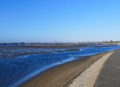 Glow by the Bay Empowers Youth to Champion Conservation