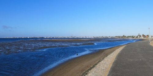 Glow by the Bay Empowers Youth to Champion Conservation