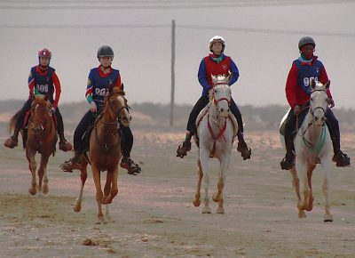 Desert Torture! Namibian Riders Conquer Desert Challenge