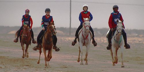 Desert Torture! Namibian Riders Conquer Desert Challenge
