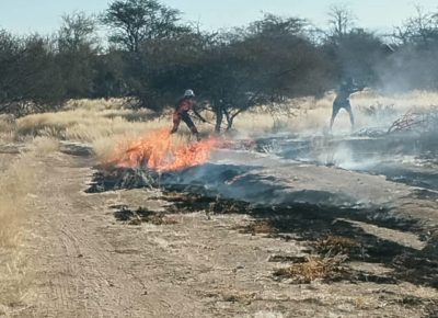 Erongo Regional Council Urges Public to Help Prevent Wildfires