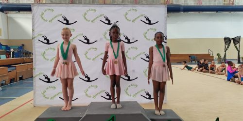 Gymnasts Shine at National Championships