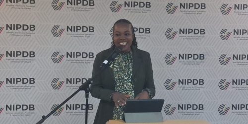 NIPDB Puts Namibian Projects in Front of Investors