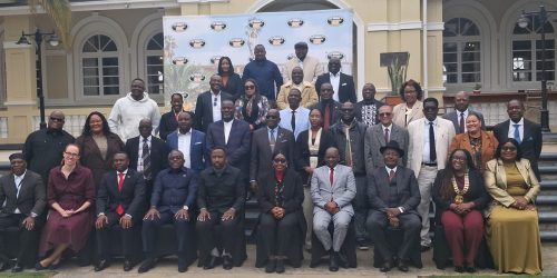 Parliamentary Leaders Urged to Strengthen Coordination and Oversight