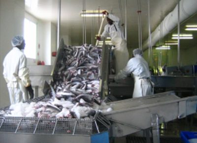 NO BUSINESS AS USUAL: PRESIDENT DEMANDS FISHERIES OVERHAUL