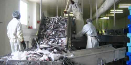 NO BUSINESS AS USUAL: PRESIDENT DEMANDS FISHERIES OVERHAUL