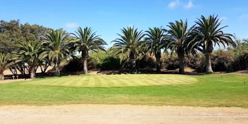 Van Wijk Shines with 43 Points at the Individual Stableford