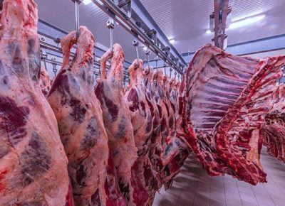 FMD Outbreak Remains Confined to Karasburg District