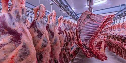 FMD Outbreak Remains Confined to Karasburg District