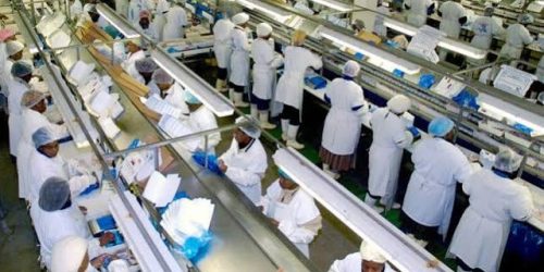 NNN Demands More From Fisheries Industry