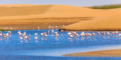 Foreign Travel Advisories Flag Crime Concerns in Namibia